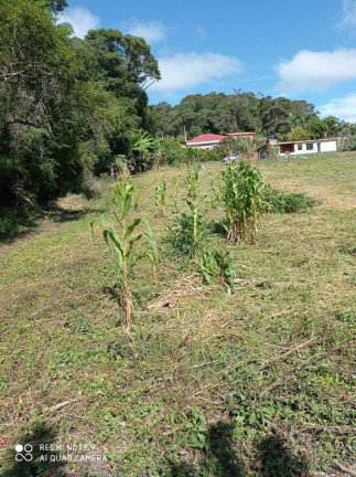 Imagem Fazenda à Venda, 9.187 m² em Zona Rural - Piedade Imagem Fazenda à Venda, 9.187 m² em Zona Rural - Piedade