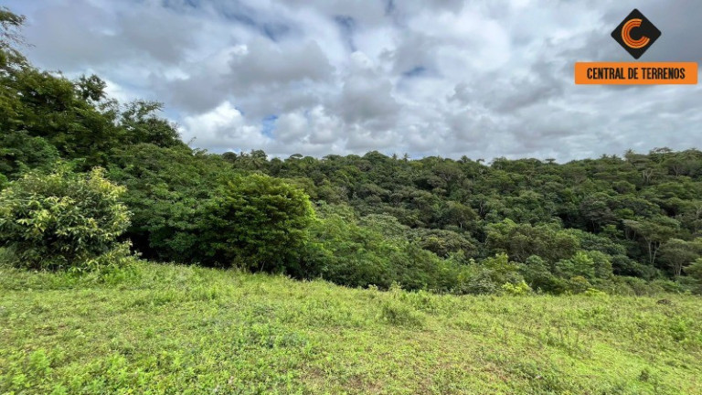 Imagem Imóvel com 2 Quartos à Venda, 103.000 m² em Cajazeiras De Abrantes - Camaçari Imagem Imóvel com 2 Quartos à Venda, 103.000 m² em Cajazeiras De Abrantes - Camaçari