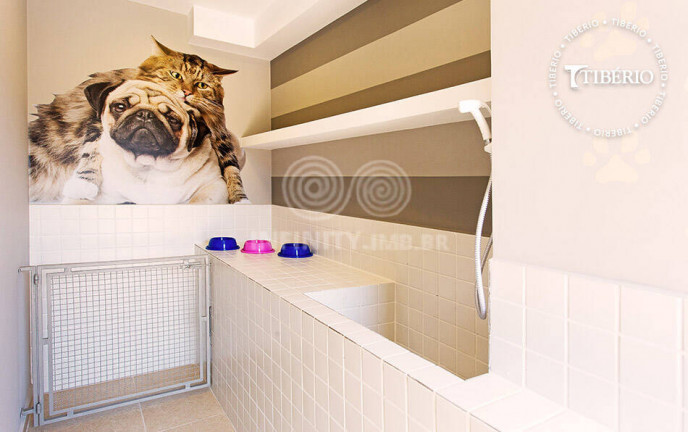Imagem Apartamento com 3 Quartos à Venda, 88 m² em Vila Carrão - São Paulo Imagem Apartamento com 3 Quartos à Venda, 88 m² em Vila Carrão - São Paulo