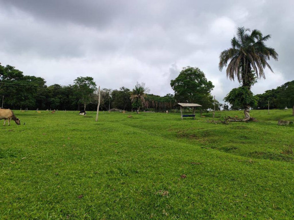 Imagem Chácara à Venda, 4 m² em Zona Rural - Anicuns Imagem Chácara à Venda, 4 m² em Zona Rural - Anicuns