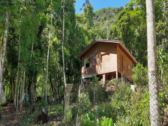 Imóvel com 2 Quartos à Venda, 70 m² em Linha Pirajá Baixa - Nova Petrópolis