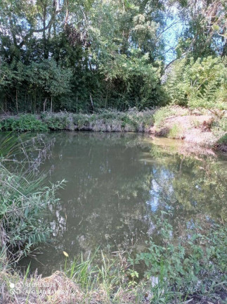 Imagem Fazenda à Venda, 9.187 m² em Zona Rural - Piedade Imagem Fazenda à Venda, 9.187 m² em Zona Rural - Piedade