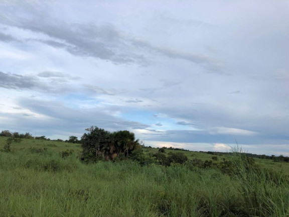 Imagem Fazenda à Venda,  em Rural - Figueirópolis