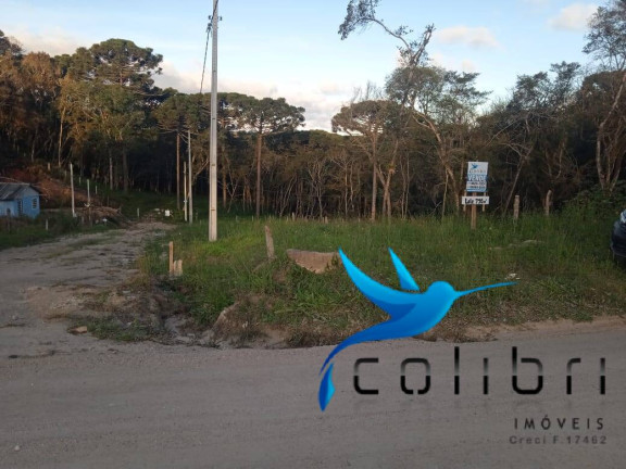 Imagem Terreno à Venda, 780 m² em Leão - Agudos Do Sul Imagem Terreno à Venda, 780 m² em Leão - Agudos Do Sul