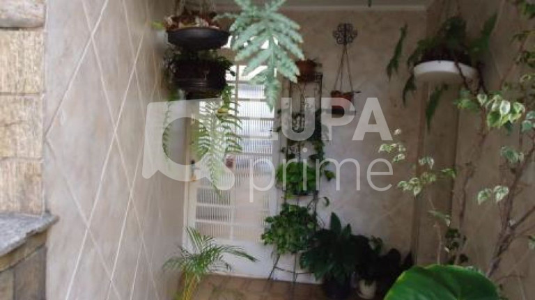 Imagem Casa com 3 Quartos à Venda, 102 m² em Tucuruvi - São Paulo Imagem Casa com 3 Quartos à Venda, 102 m² em Tucuruvi - São Paulo