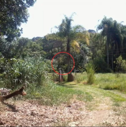 Imagem Chácara com 4 Quartos à Venda, 350 m² em Centro - Guararema Imagem Chácara com 4 Quartos à Venda, 350 m² em Centro - Guararema