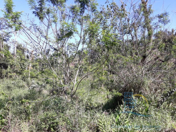Imagem Terreno à Venda, 232.297 m² em Enseada - São Francisco Do Sul Imagem Terreno à Venda, 232.297 m² em Enseada - São Francisco Do Sul