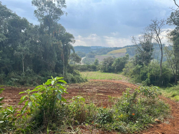 Imagem Terreno à Venda, 30.000 m² em Rural - Concórdia Imagem Terreno à Venda, 30.000 m² em Rural - Concórdia