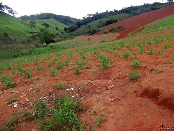 Imagem Terreno à Venda, 20 m² em Centro - São Luiz Do Paraitinga Imagem Terreno à Venda, 20 m² em Centro - São Luiz Do Paraitinga