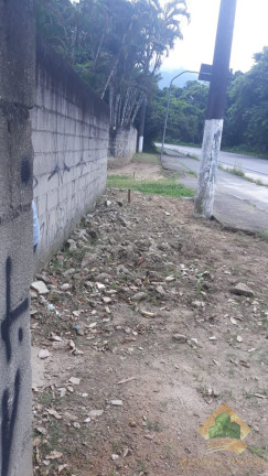 Imagem Terreno à Venda, 500 m² em Horto Florestal - Ubatuba