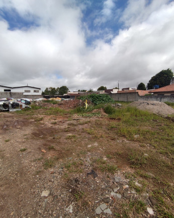 Imagem Terreno à Venda, 5.000 m² em Centro - Pinhais Imagem Terreno à Venda, 5.000 m² em Centro - Pinhais