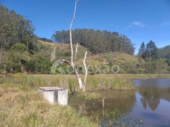 Imagem Fazenda à Venda, 100 m² em Turvo - São José Dos Campos Imagem Fazenda à Venda, 100 m² em Turvo - São José Dos Campos