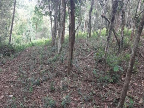 Imagem Terreno à Venda, 5.470 m² em Santa Isabel - Santa Isabel