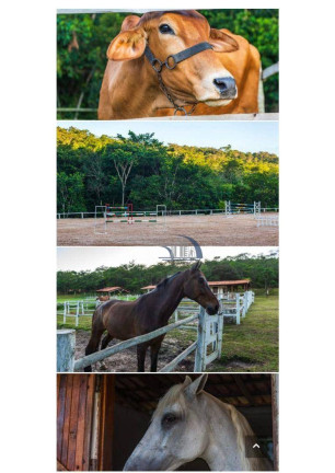 Imagem Fazenda à Venda, 500.000 m² em Setor Habitacional Arniqueiras - águas Claras