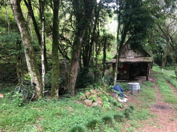 Imagem Imóvel com 2 Quartos à Venda, 80 m² em Linha Pirajá Baixa - Nova Petrópolis