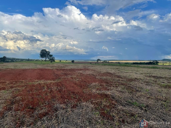 Imagem Imóvel à Venda, 1.255.000 m² em Centro - Campina Verde
