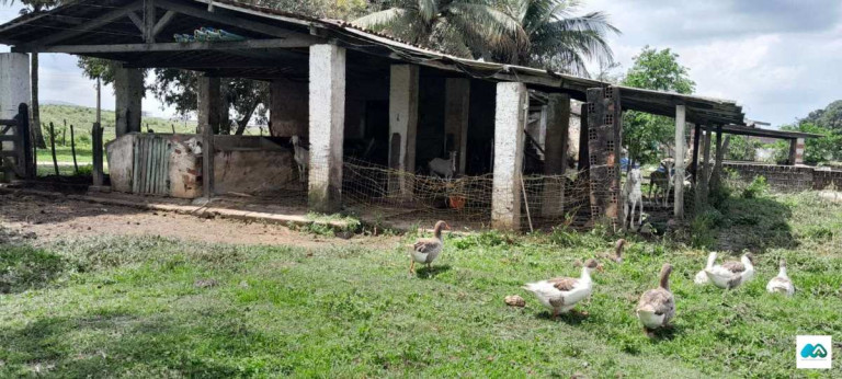 Imagem Chácara à Venda, 3.000 m² em Murici Imagem Chácara à Venda, 3.000 m² em Murici