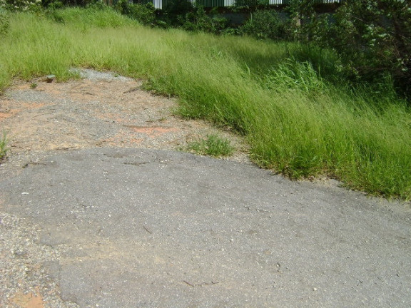 Imagem Imóvel Comercial à Venda, 7.400 m² em Terra Preta - Mairiporã Imagem Imóvel Comercial à Venda, 7.400 m² em Terra Preta - Mairiporã