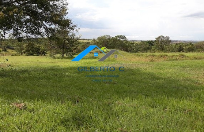 Imagem Imóvel à Venda, 7.685 m² em área Rural De Jacuba - Arealva