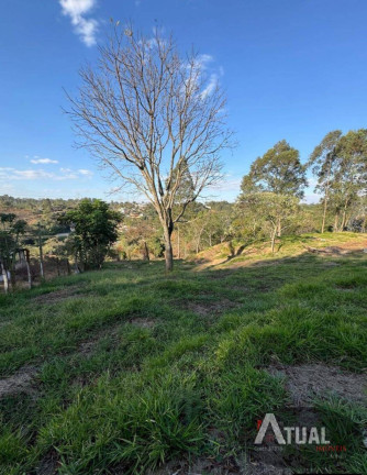 Imagem Casa com 5 Quartos à Venda, 6.672 m² em Canjica (terra Preta) - Mairiporã