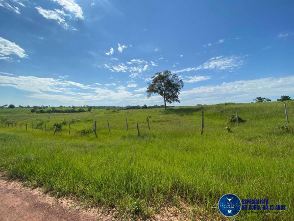 Imagem Fazenda à Venda, 121 m² em Zona Rural - Torixoréu Imagem Fazenda à Venda, 121 m² em Zona Rural - Torixoréu