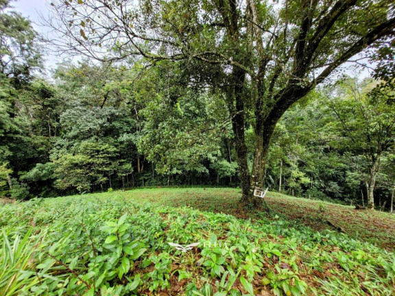 Imagem Chácara à Venda, 24.900 m² em Três Rios Do Norte - Jaraguá Do Sul Imagem Chácara à Venda, 24.900 m² em Três Rios Do Norte - Jaraguá Do Sul