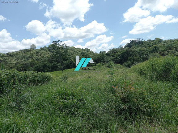 Imagem Fazenda à Venda, 2.500 m² em Serra Negra - Betim Imagem Fazenda à Venda, 2.500 m² em Serra Negra - Betim
