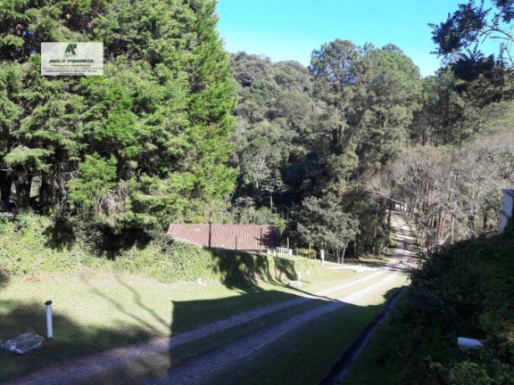 Imagem Fazenda à Venda, 198.000 m² em Vila Darci Penteado - São Roque Imagem Fazenda à Venda, 198.000 m² em Vila Darci Penteado - São Roque