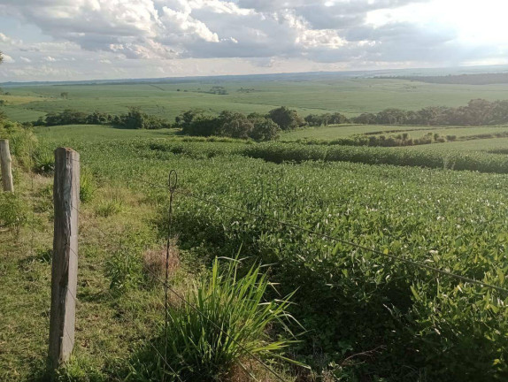 Imagem Fazenda à Venda, 193.600 m² em Centro - Bela Vista Do Paraíso Imagem Fazenda à Venda, 193.600 m² em Centro - Bela Vista Do Paraíso