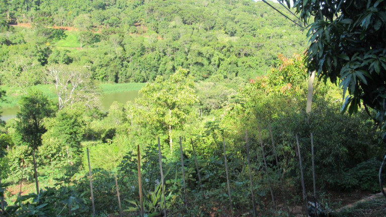 Imagem Imóvel com 3 Quartos à Venda, 7.500 m² em Rural - Concórdia Imagem Imóvel com 3 Quartos à Venda, 7.500 m² em Rural - Concórdia