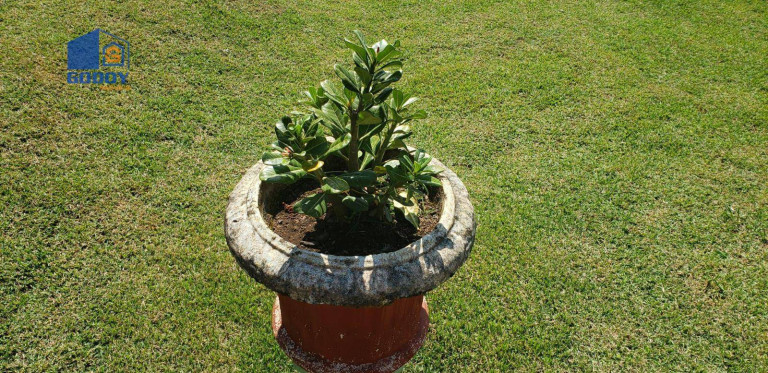 Imagem Chácara com 2 Quartos à Venda, 300 m² em Zona Rural - Chapada Dos Guimarães Imagem Chácara com 2 Quartos à Venda, 300 m² em Zona Rural - Chapada Dos Guimarães