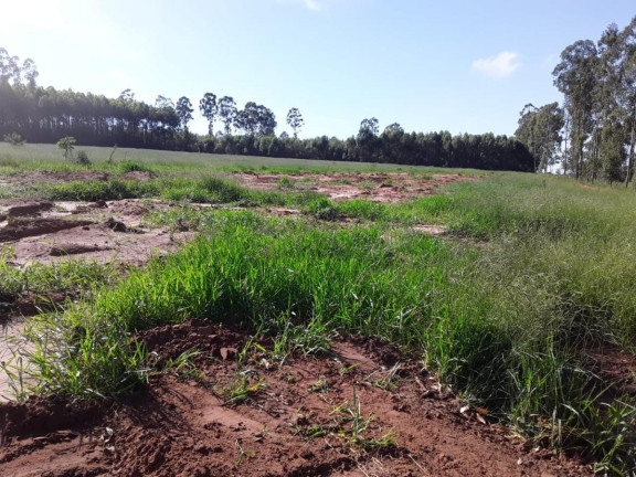 Imagem Chácara à Venda, 15 m² em Area Rural De Avaré - Avaré
