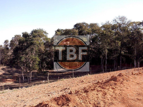 Imagem Terreno à Venda, 5.000 m² em Parateí - Santa Isabel