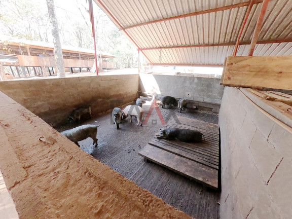 Imagem Fazenda à Venda, 24.200 m² em Morro Alto - Guarapuava Imagem Fazenda à Venda, 24.200 m² em Morro Alto - Guarapuava