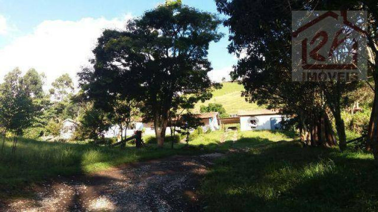Imagem Fazenda à Venda, 479.160 m² em Catuçaba - São Luiz Do Paraitinga Imagem Fazenda à Venda, 479.160 m² em Catuçaba - São Luiz Do Paraitinga