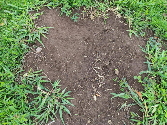 Imagem Chácara à Venda, 4 m² em Zona Rural - Anicuns Imagem Chácara à Venda, 4 m² em Zona Rural - Anicuns