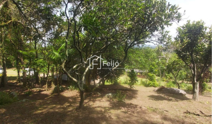 Imagem Fazenda à Venda, 6.000 m² em Lageado - Porto Alegre