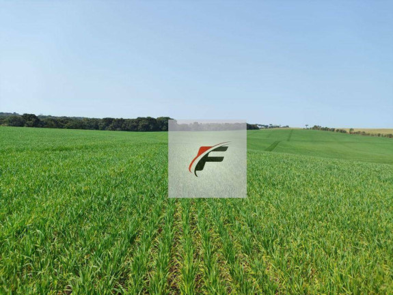 Fazenda à Venda, 847.000 m² em Centro - Lapa