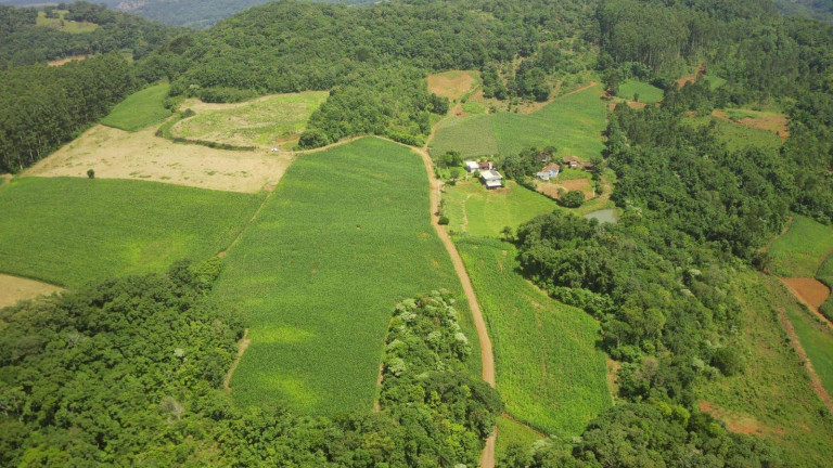 Imagem Terreno à Venda, 90.000 m² em Rural - Concórdia Imagem Terreno à Venda, 90.000 m² em Rural - Concórdia