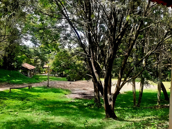 Imagem Chácara com 3 Quartos à Venda, 31.250 m² em São João Da Boa Vista Imagem Chácara com 3 Quartos à Venda, 31.250 m² em São João Da Boa Vista