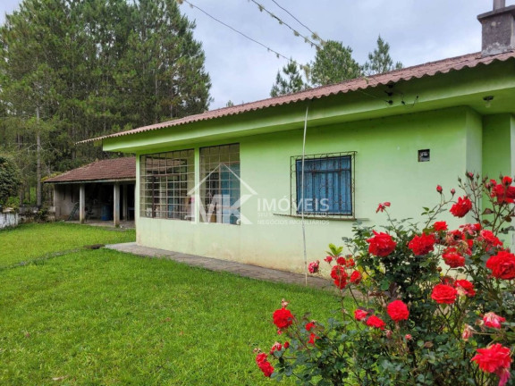Imagem Chácara com 2 Quartos à Venda, 90 m² em Monte Alegre - Quatro Barras Imagem Chácara com 2 Quartos à Venda, 90 m² em Monte Alegre - Quatro Barras