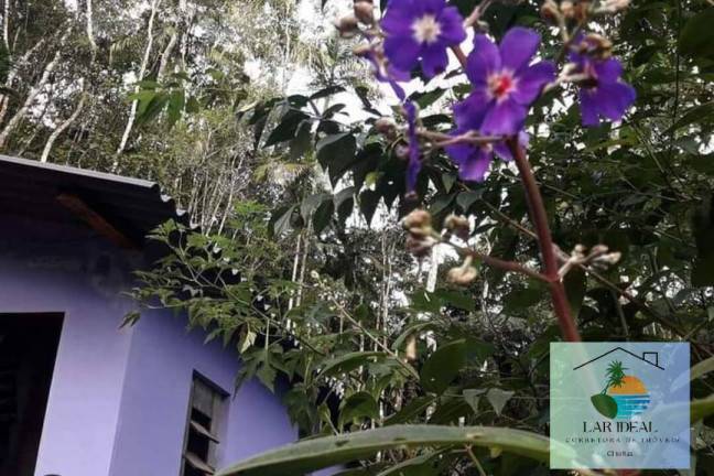 Imagem Casa com 1 Quarto à Venda, 3 m² em São Pedro Da Serra - Nova Friburgo Imagem Casa com 1 Quarto à Venda, 3 m² em São Pedro Da Serra - Nova Friburgo