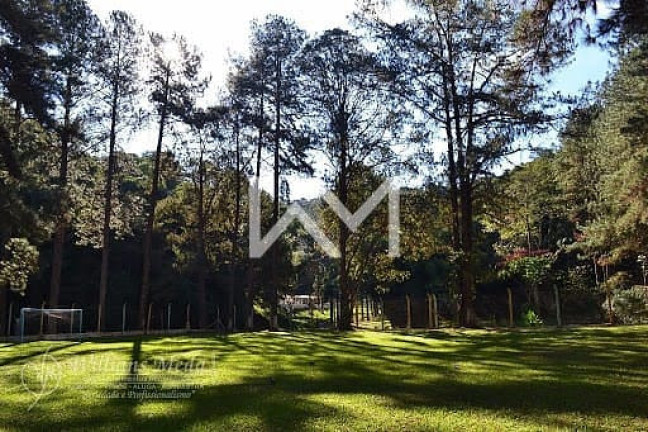 Imagem Terreno à Venda, 72.944 m² em Jardim Paraiso - Guarulhos Imagem Terreno à Venda, 72.944 m² em Jardim Paraiso - Guarulhos