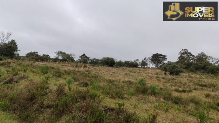 Imagem Imóvel com 4 Quartos à Venda, 2.600.000 m² em Centro - Canguçu
