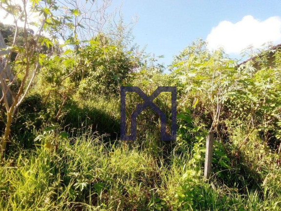 Imagem Casa à Venda, 400 m² em área Rural De Itajubá - Itajubá Imagem Casa à Venda, 400 m² em área Rural De Itajubá - Itajubá