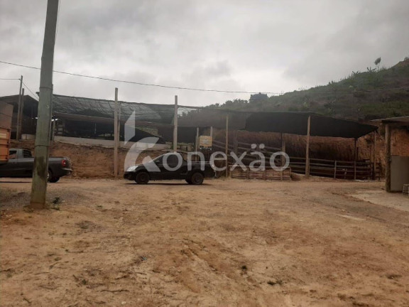 Imagem Fazenda à Venda, 90 m² em Itapeva - Paraibuna Imagem Fazenda à Venda, 90 m² em Itapeva - Paraibuna