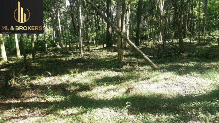Imagem Imóvel à Venda, 20.000 m² em Quitandinha - Quitandinha Imagem Imóvel à Venda, 20.000 m² em Quitandinha - Quitandinha