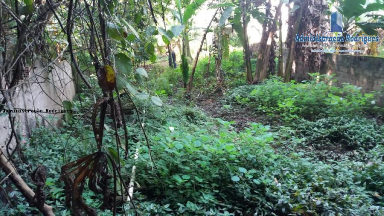 Imagem Chácara à Venda, 1.969 m² em Baldeador - São Gonçalo Imagem Chácara à Venda, 1.969 m² em Baldeador - São Gonçalo
