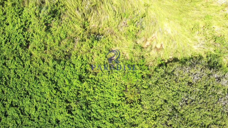 Imagem Terreno à Venda, 1.800 m² em Itacimirim - Camaçari Imagem Terreno à Venda, 1.800 m² em Itacimirim - Camaçari