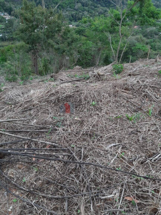 Imagem Terreno à Venda, 643 m² em Cascata Do Imbuí - Teresópolis Imagem Terreno à Venda, 643 m² em Cascata Do Imbuí - Teresópolis